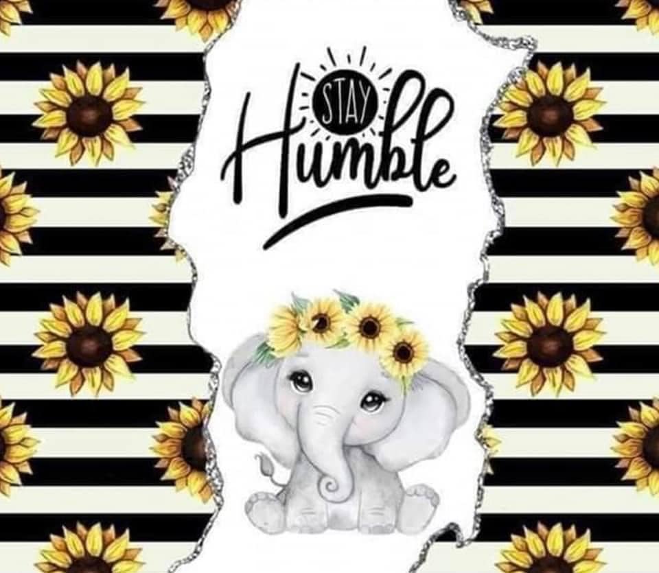 20 oz Skinny Tumbler - Humble Elephant