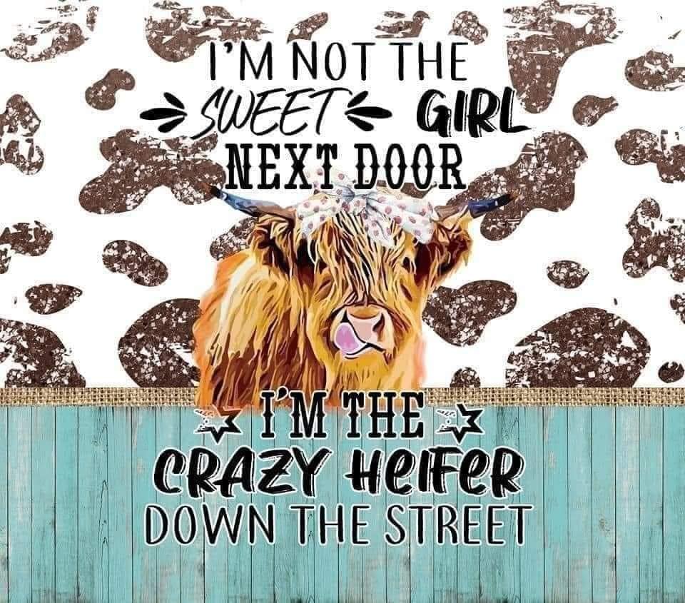 20 oz Skinny Tumbler - Not the Sweet Girl Next Door
