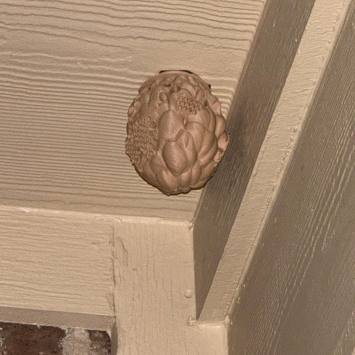 Realistic 3D Printed Wasp Nest Decoy for Outdoor Wasp Control, Weather‑Resistant PLA Nest with 3M Mounting Tape included