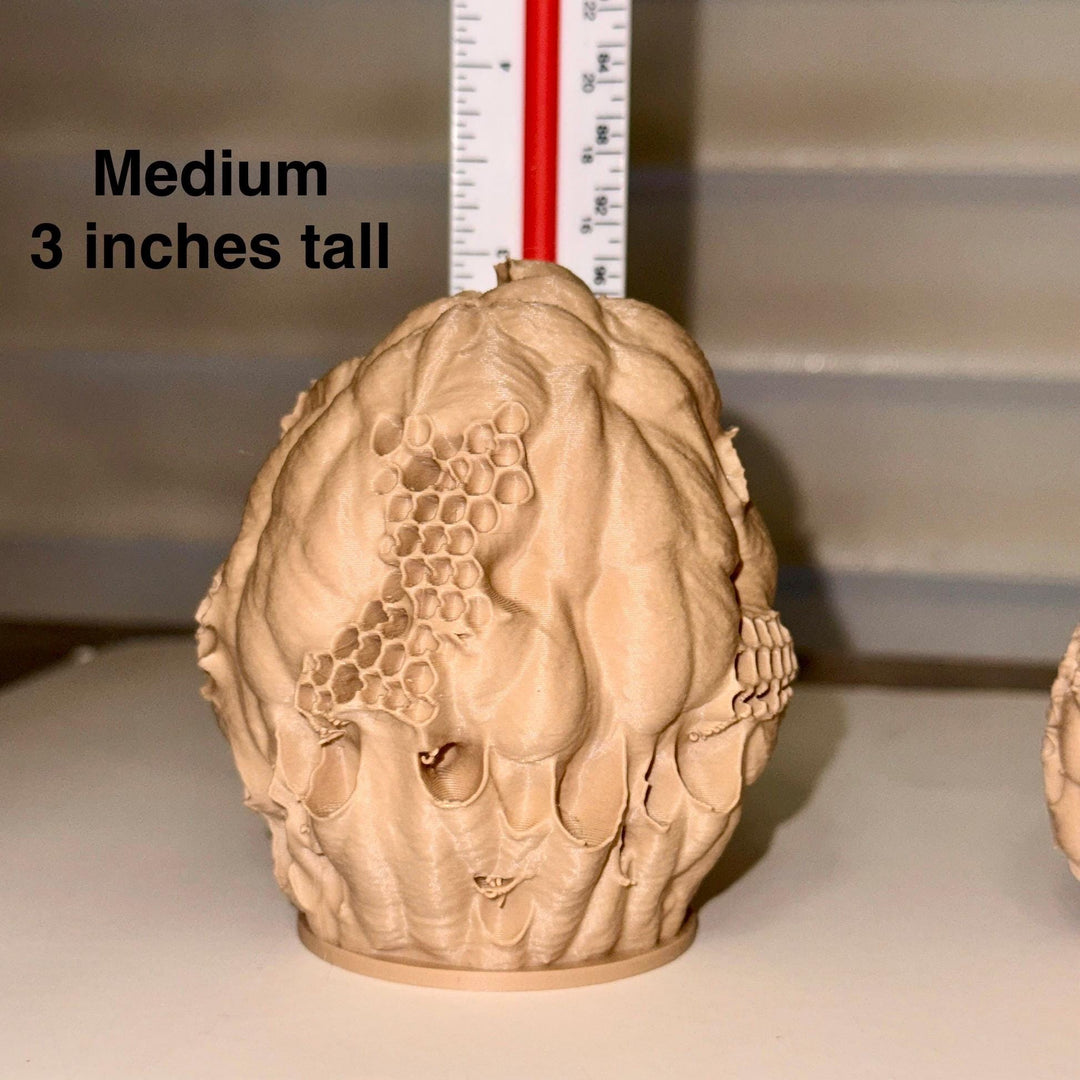 Realistic 3D Printed Wasp Nest Decoy for Outdoor Wasp Control, Weather‑Resistant PLA Nest with 3M Mounting Tape included