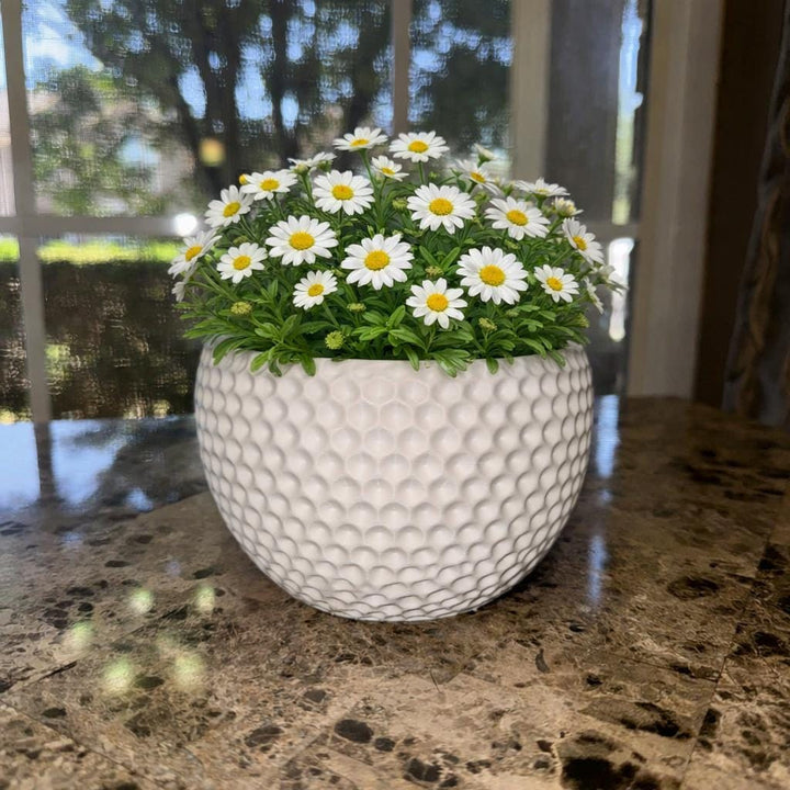 Golf Ball Vase Planter, Gift for Office, Golf Lovers