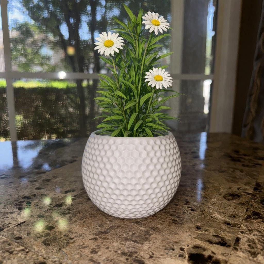 Golf Ball Vase Planter, Gift for Office, Golf Lovers