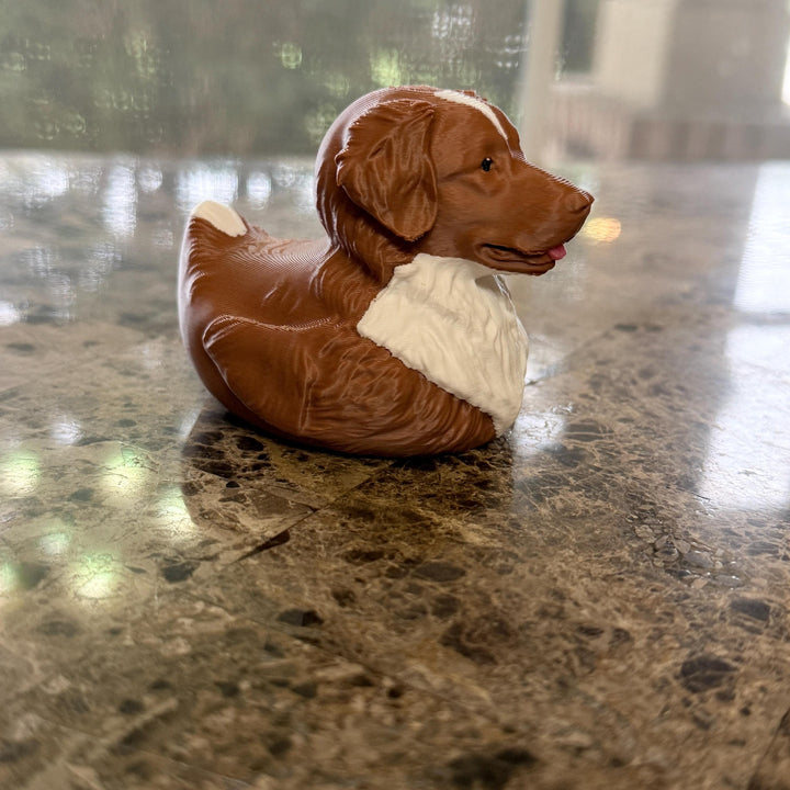 Nova Scotia Duck Toller Retriever Duck, 3D Printed Ducking Gift, Cute Dog Dashboard Buddy, Puppy Lover Gift, Car Decor Collectible