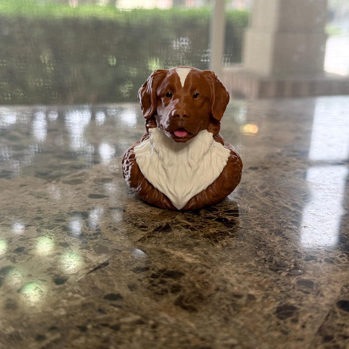 Nova Scotia Duck Toller Retriever Duck, 3D Printed Ducking Gift, Cute Dog Dashboard Buddy, Puppy Lover Gift, Car Decor Collectible