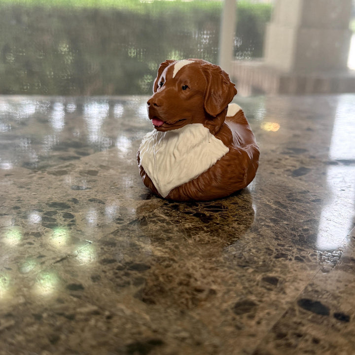 Nova Scotia Duck Toller Retriever Duck, 3D Printed Ducking Gift, Cute Dog Dashboard Buddy, Puppy Lover Gift, Car Decor Collectible