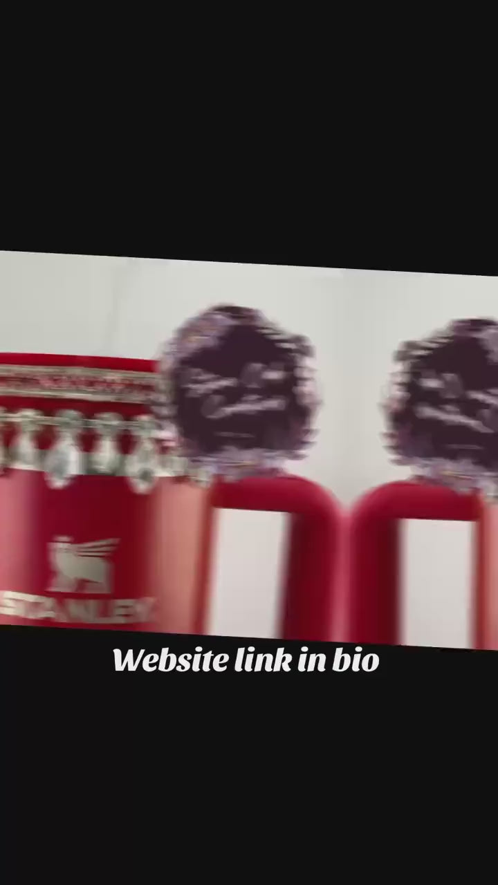 Red Silver Rhinestone Royal Princess Accessory Collection for Stanley tumblers, Princess Crown Topper, Royal Halo Lid BEST SELLER