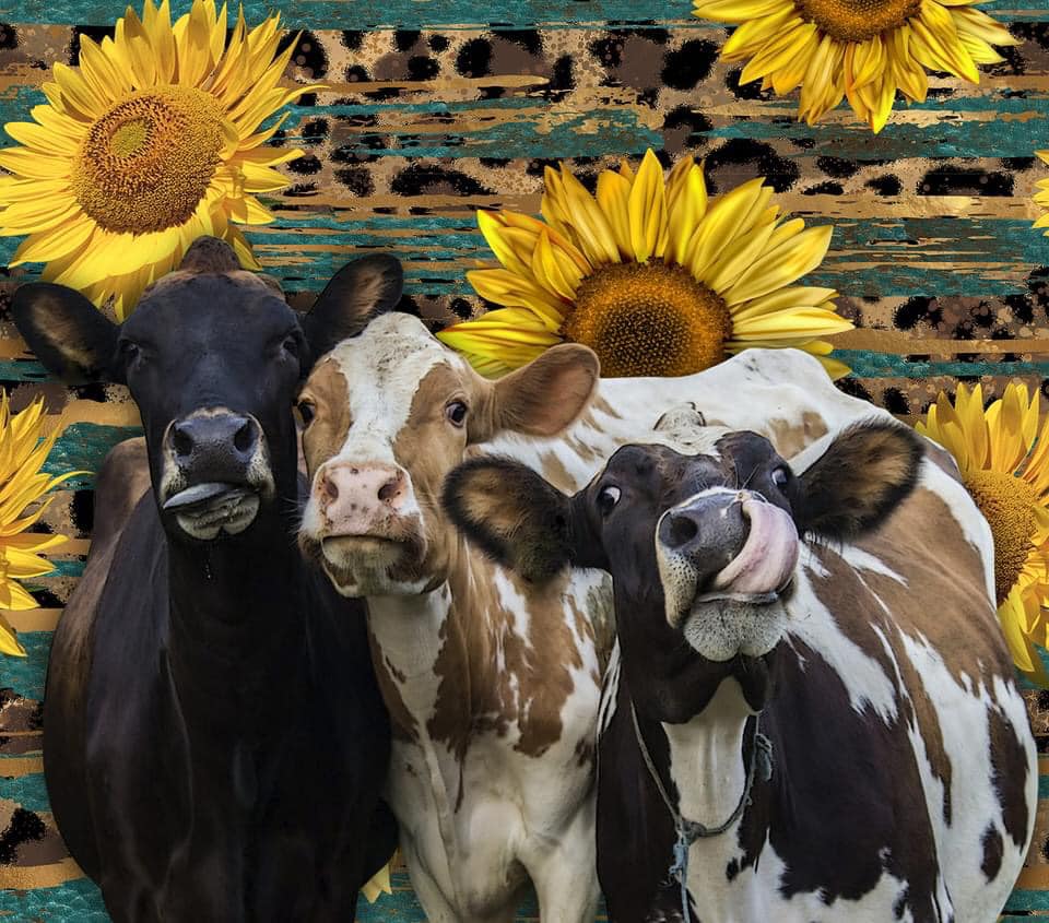20 oz Skinny Tumbler - Cow Friends and Sunflowers