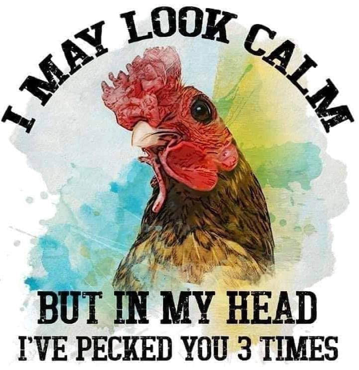 20 oz Tumbler - Chicken - I May Look Calm But in my Head I've Pecked You 3 Times