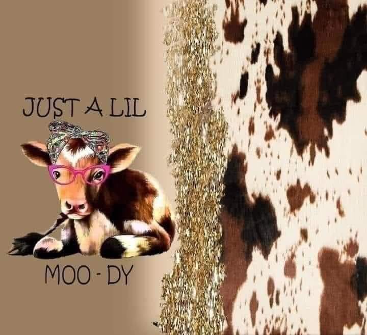 20 oz Skinny Tumbler - Cow Print - Just a Lil Moo-dy